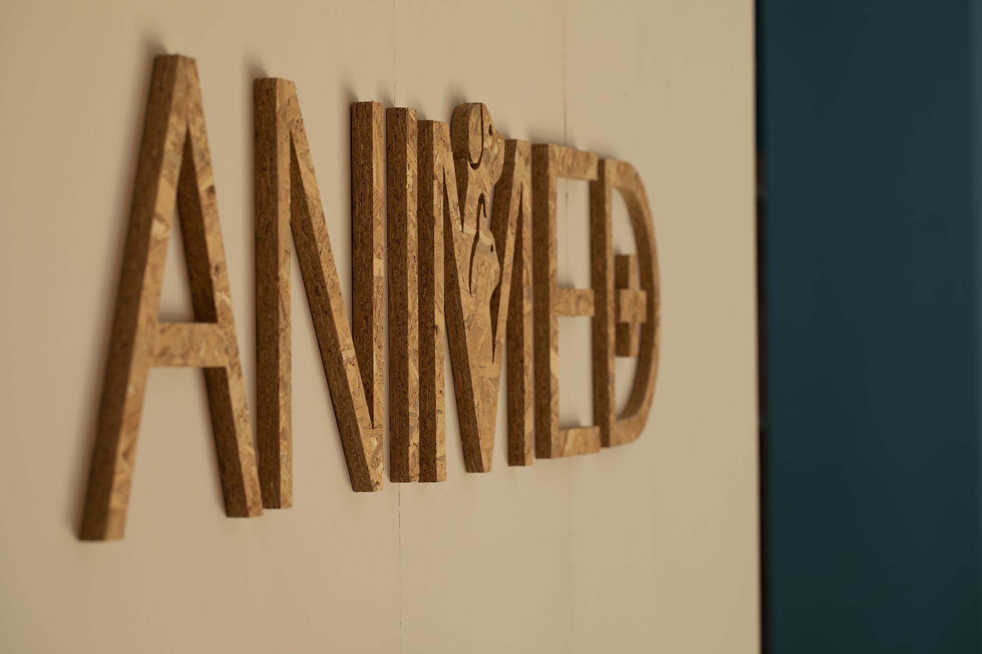 veterinary clinic modern design colorful interior