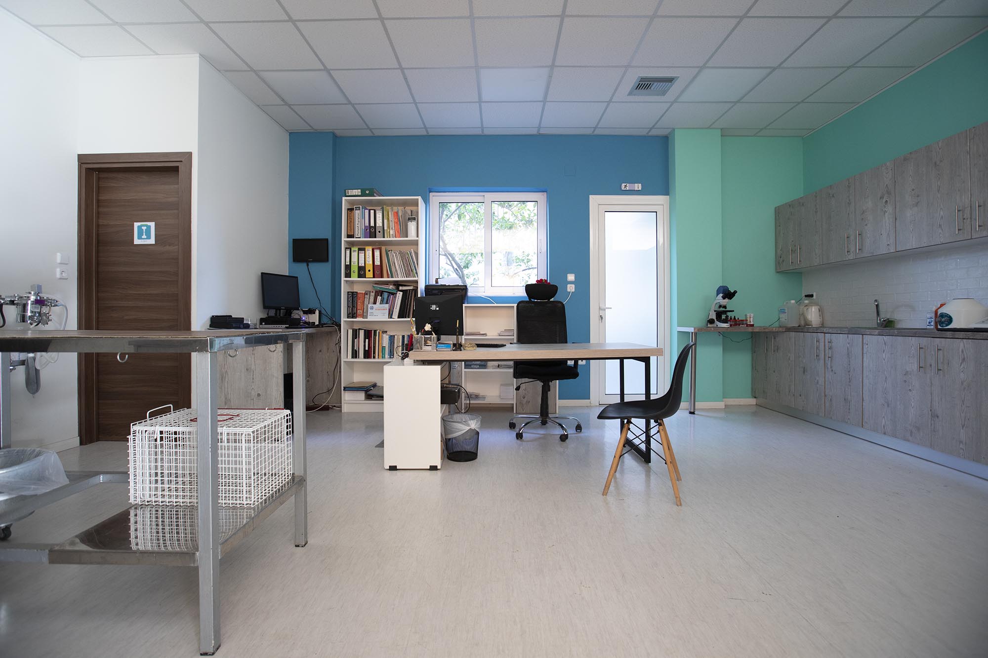 Veterinary clinic in Sparta. ANNA LOUMAKI Interiors