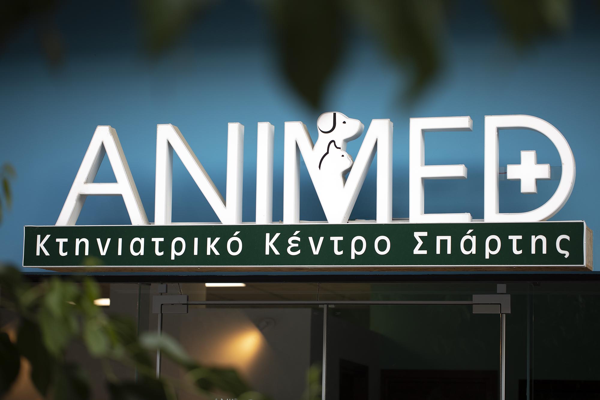 veterinary clinic modern design colorful interior